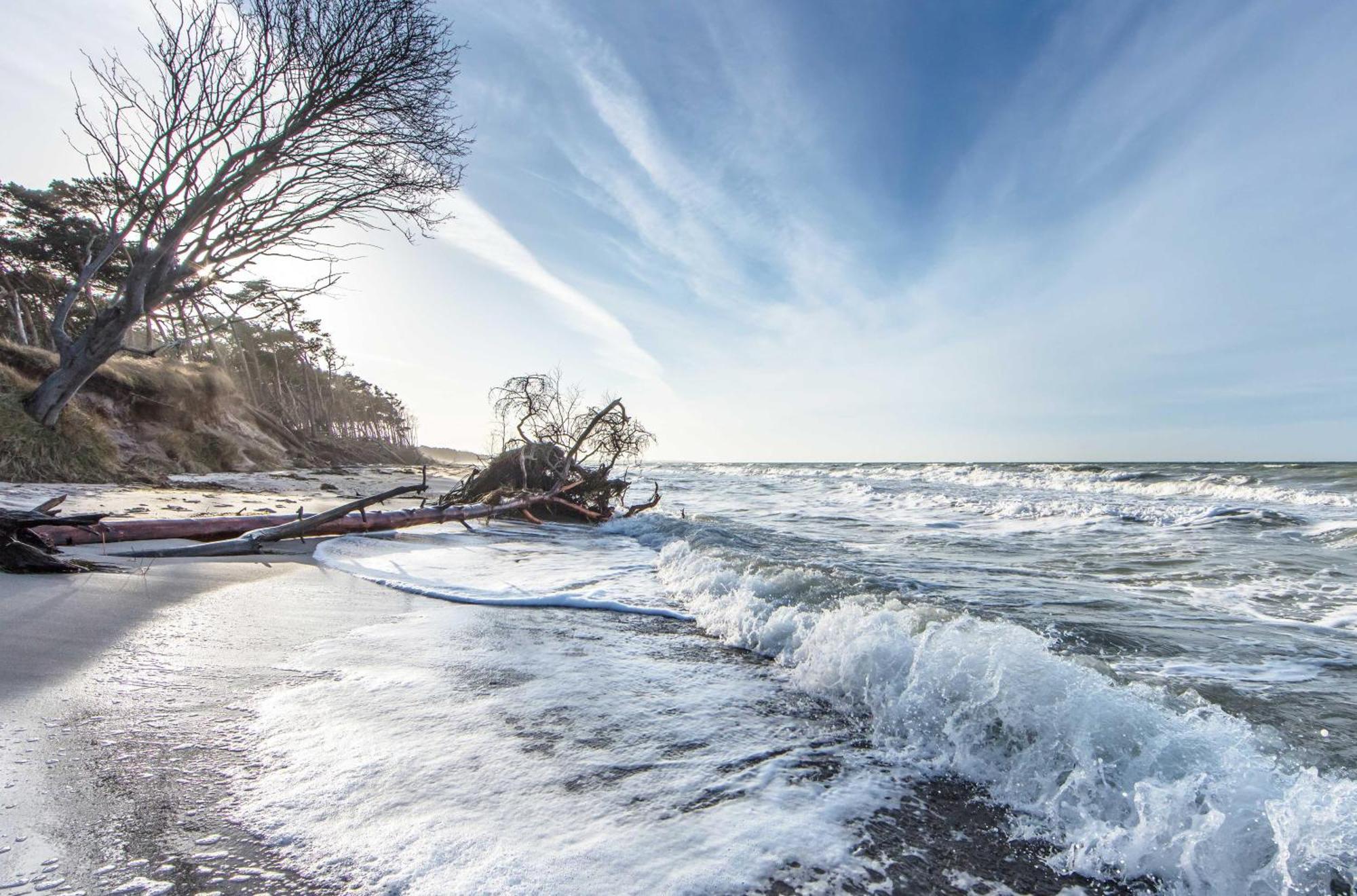 Leuchtturm An Der Seebruecke Zingst Zewnętrze zdjęcie